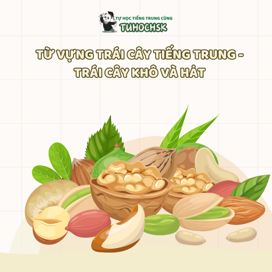 Từ vựng trái cây tiếng Trung - trái cây khô và hạt