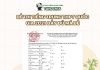 Đề thi tiếng Trung THPT Quốc gia 2021 đầy đủ mã đề + đáp án Đề thi tiếng Trung THPT Quốc gia 2021
